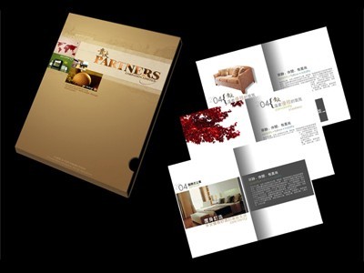 創(chuàng)新圖文藝術(shù) 專業(yè)燃氣鍋爐宣傳畫冊與說明書設(shè)計制作服務(wù)